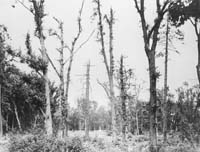 K1-77_2